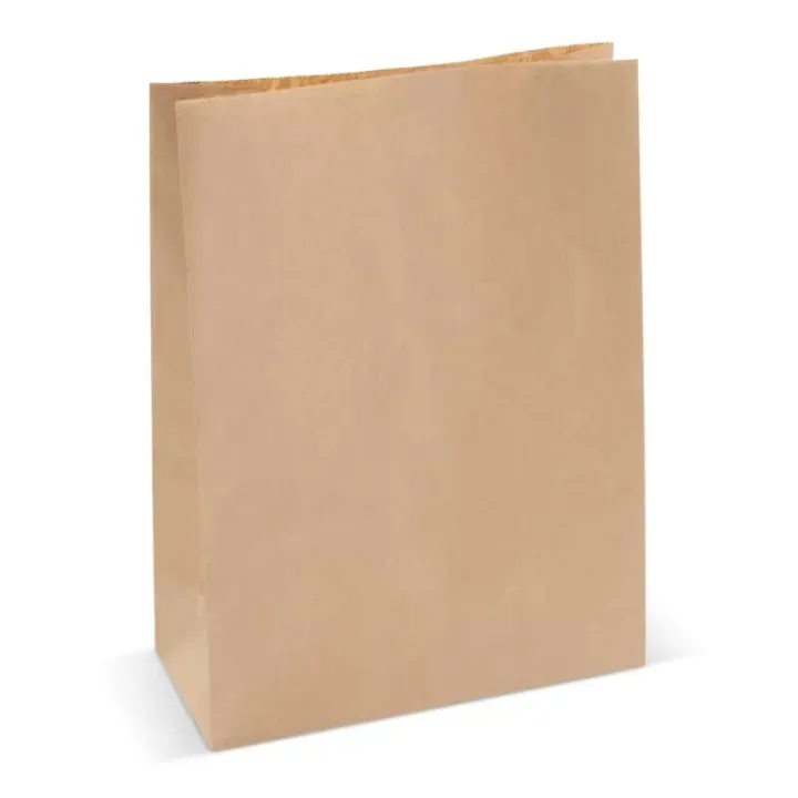 Paper bag 70g/m² 29x22x9cm - LT91633 (N0051)
